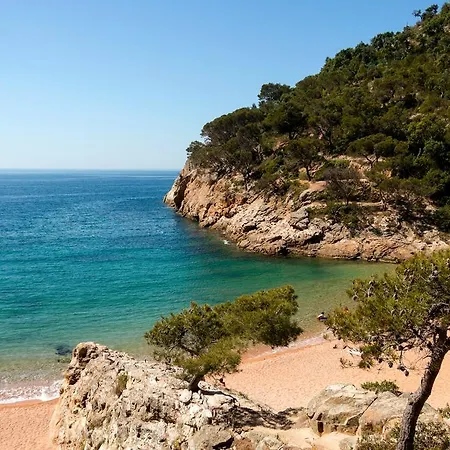 Kamp alanı Camping Pola 3*